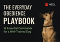 The Everyday Obedience Playbook