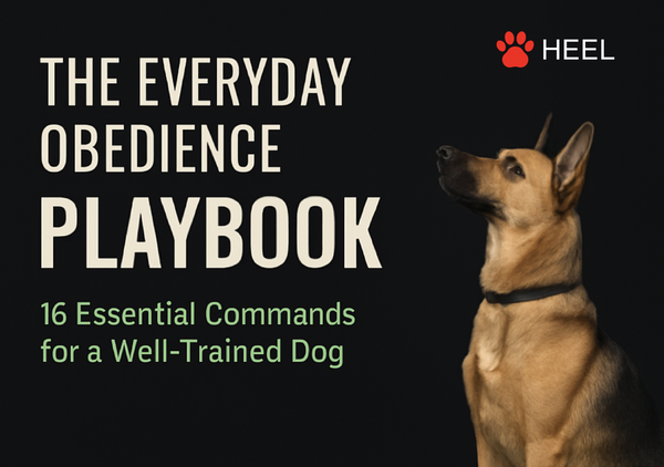 Everyday Obedience Master Guide