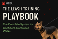 The Leash Training Playbook