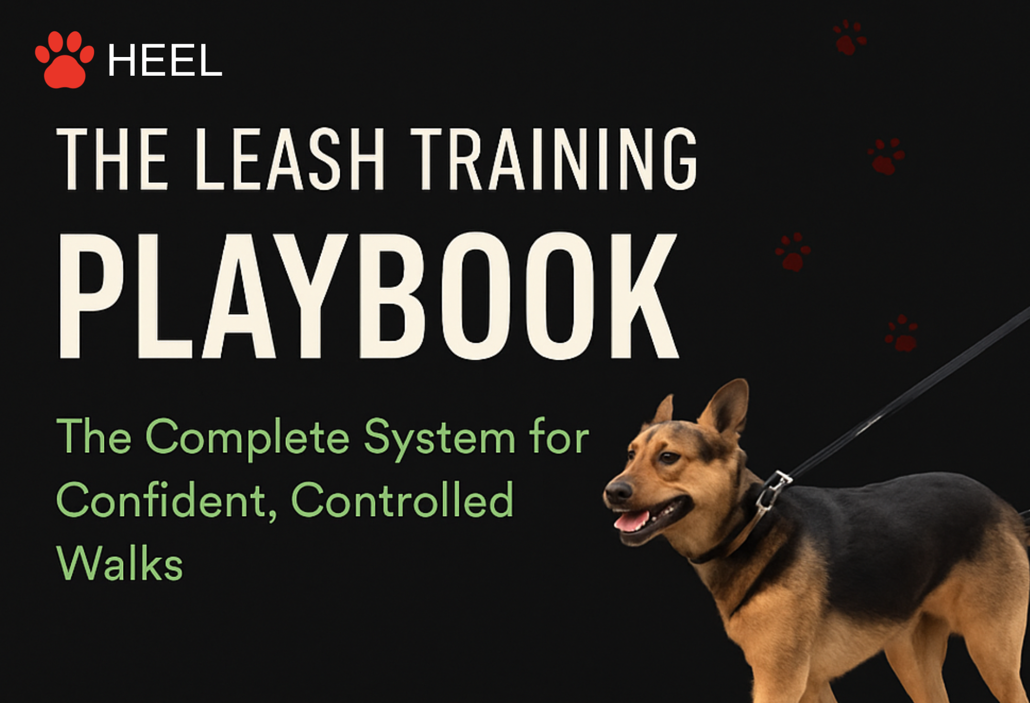 The Leash Training Playbook