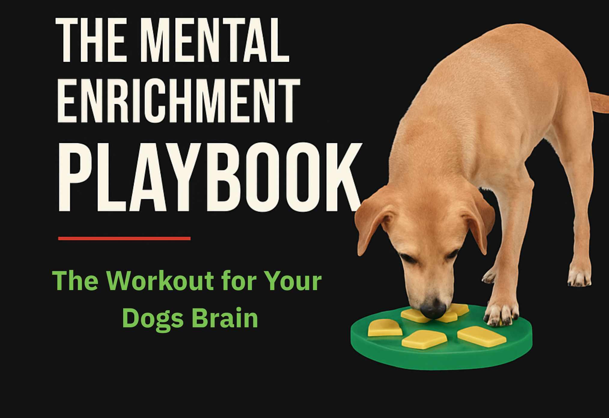 The Mental Enrichment Playbook