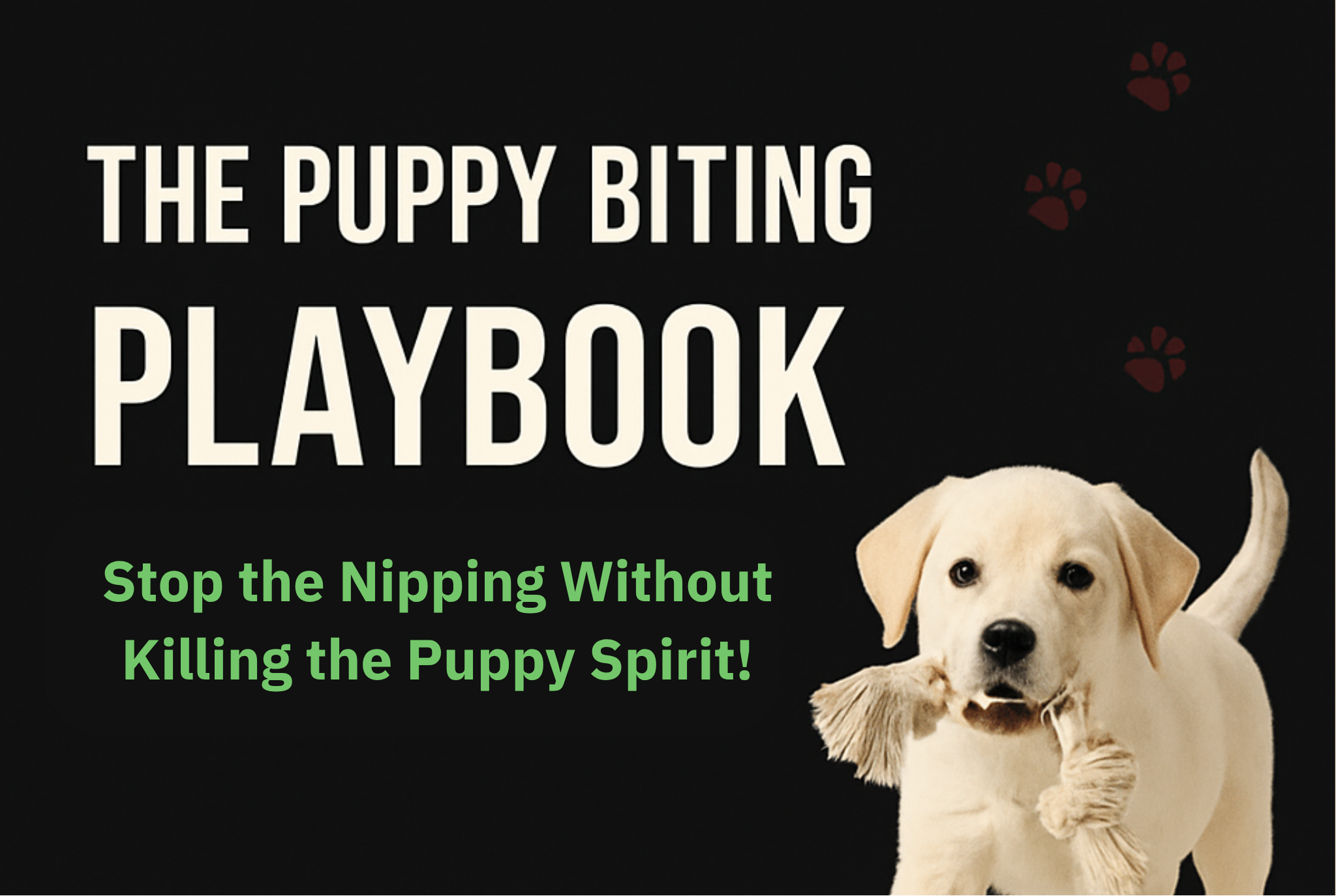Book cover of 'The Puppy Biting Playbook' by HEEL Dog Training with a puppy holding a bone.