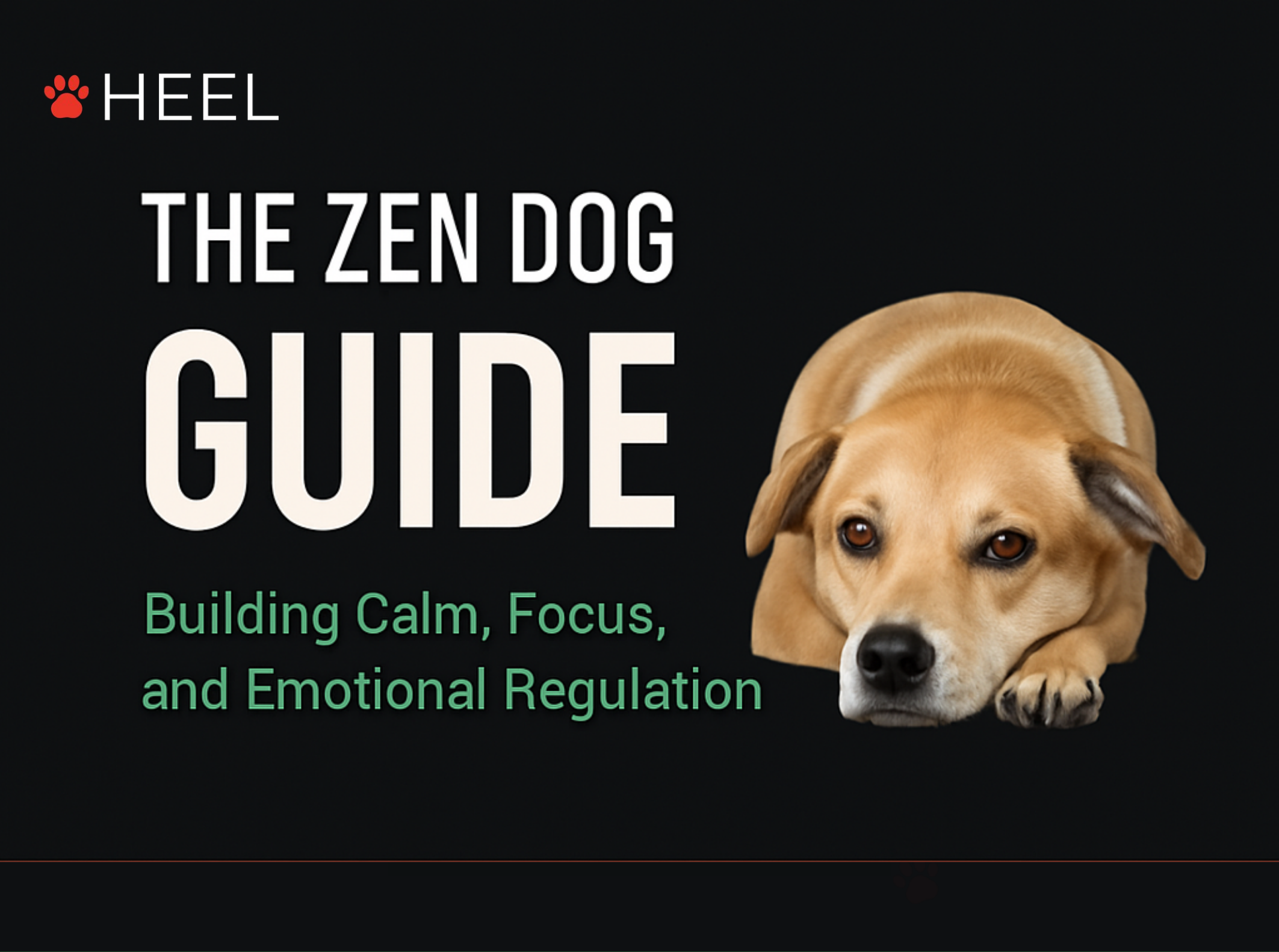 Book cover of 'The Zen Dog Guide' by HEEL with a dog's face on a black background